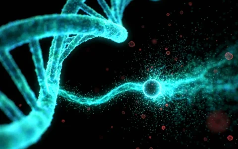 阿尔山MAP基因检测服务机构有哪些？