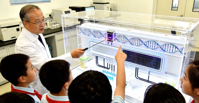 宜都林业女工在山林工作中关注健