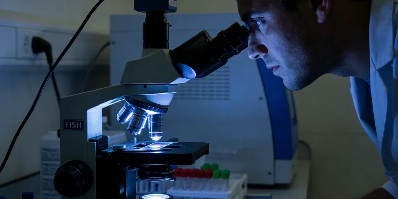 三河神经纤维瘤病I型典型牛奶咖