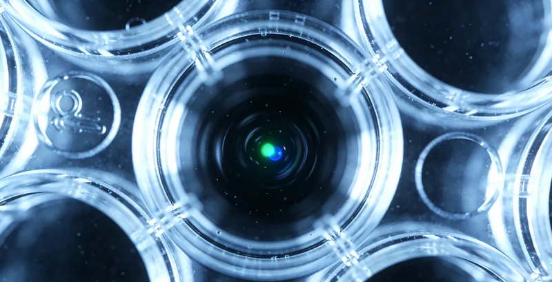 楚雄家庭讨论健康管理计划温馨场