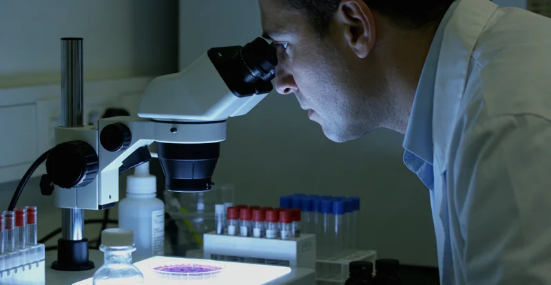 永城家庭在医生指导下查看健康资