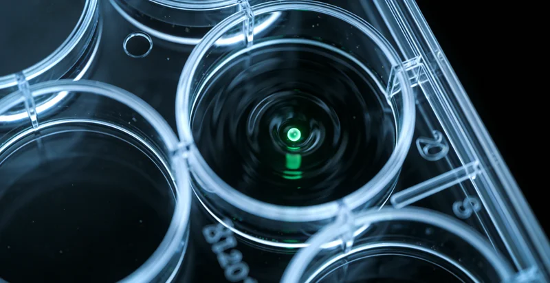 曲靖家庭共同讨论基因检测结果与