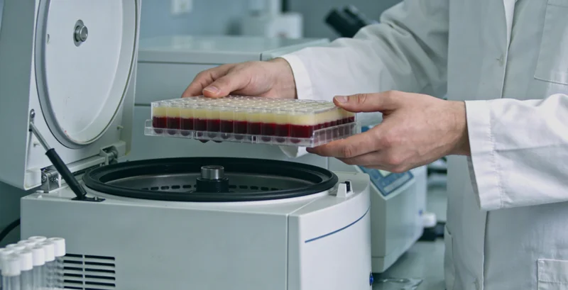 长沙家庭在湘江边携手前行 象征