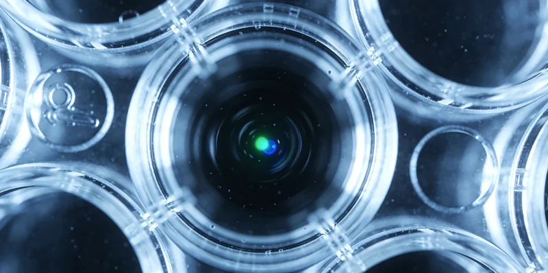 昌吉家庭癌症家族史图谱示意图