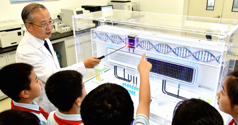 平果夕阳下一家人温馨背影