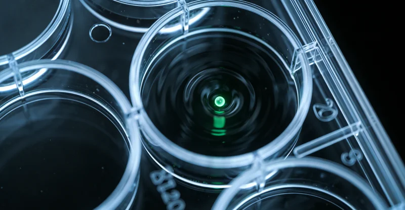 石河子农田边医护人员向农户家庭