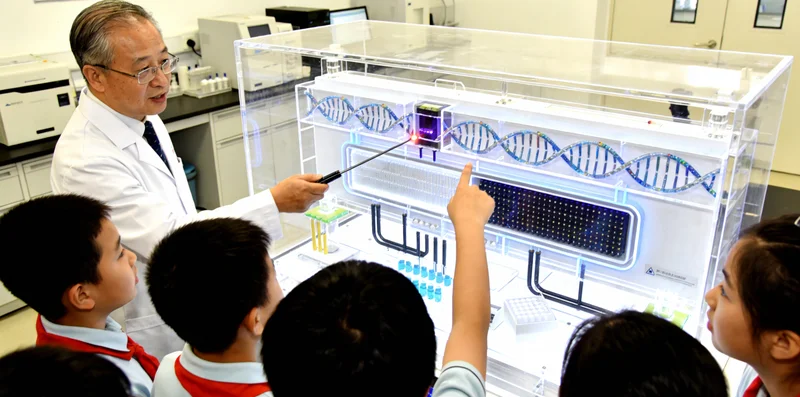 乌后旗家庭关注儿童眼部健康