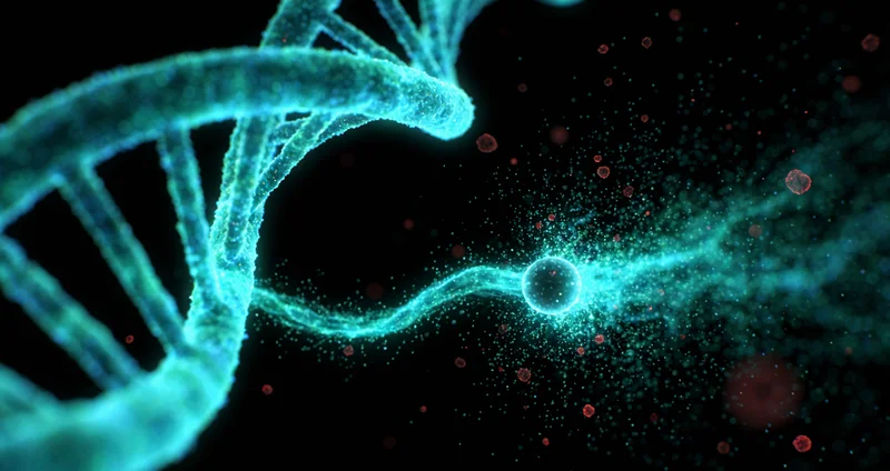 桂平家庭共同关注健康管理计划