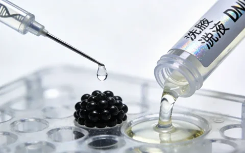 抚州冯·希佩尔-林道综合征基因检测机构一览