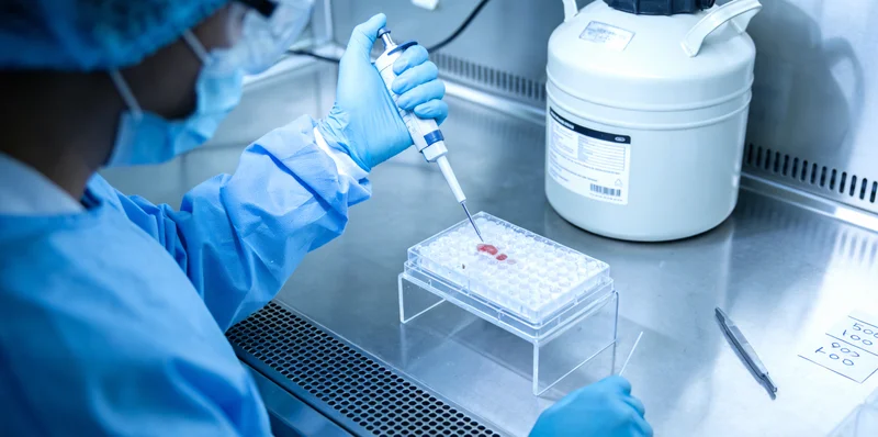 彬州医院甲状腺B超检查影像图