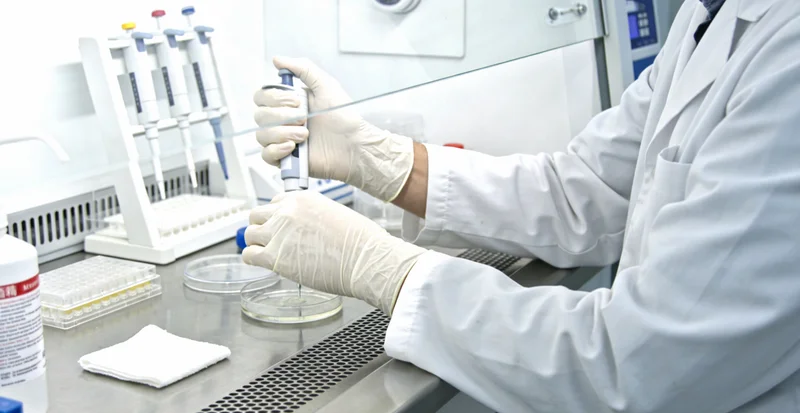 伊犁多民族大家庭聚会场景，体现