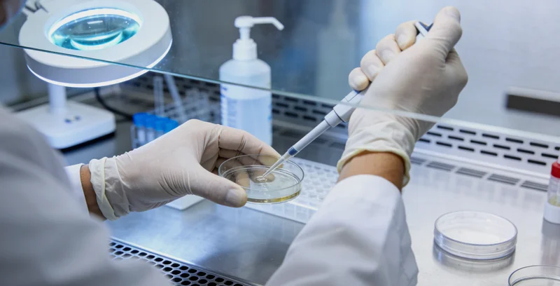 鹤岗家庭饮食场景与健康风险提示