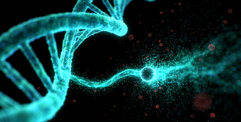 平凉家庭与医生讨论基因检测后的