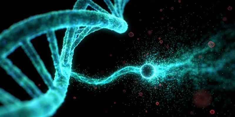 石河子家庭阳光下的健康希望