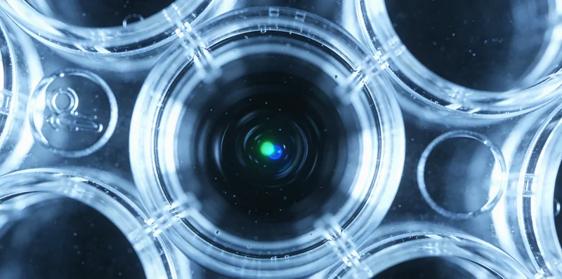 察右后旗家庭健康饮食聚会