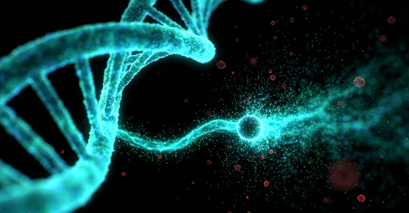 乳山银滩上一家三口的温馨背影