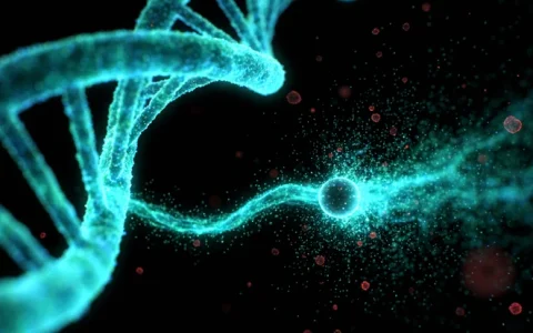 三河RET监测方案基因检测认证机构名单