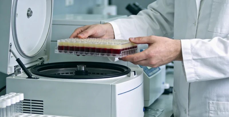 胶州家庭享受健康安心的户外生活