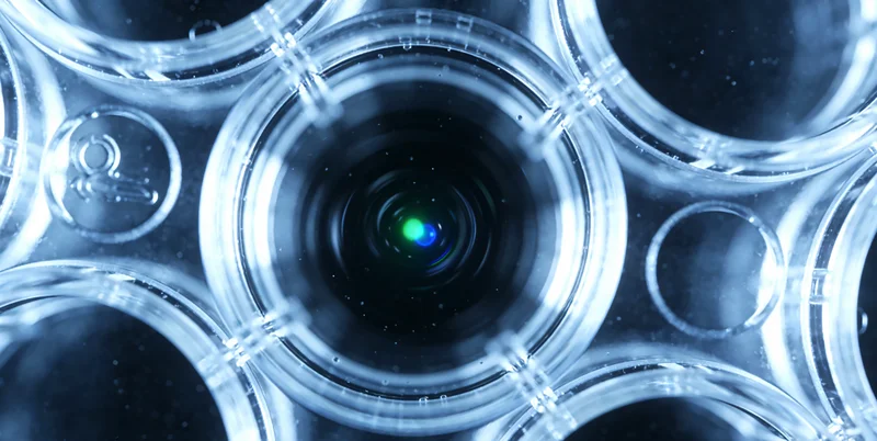 广州医院内镜中心进行染色放大胃