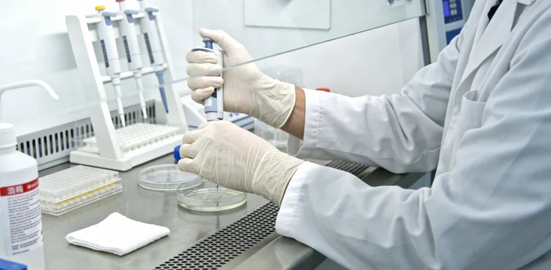 临江林业工作者在自然环境中工作