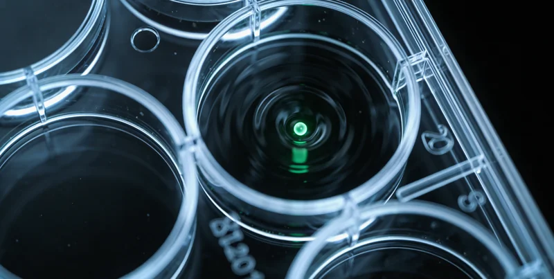 呼和浩特年轻夫妇进行孕前遗传咨