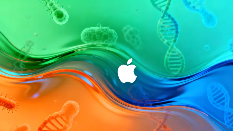 二代测序（NGS）技术原理简图