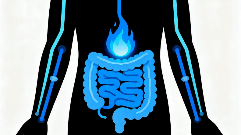 肝癌发生中的关键基因突变示意图