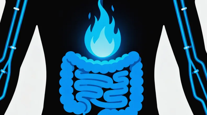 实时荧光PCR检测原理动态图解