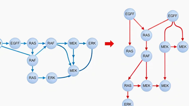 ARMS-PCR与二代测序(NGS)技术原理对比图