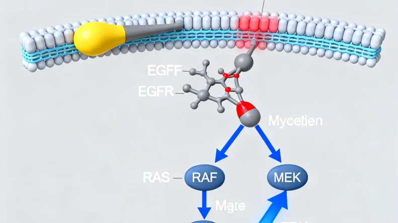 免疫组化染色结果对比