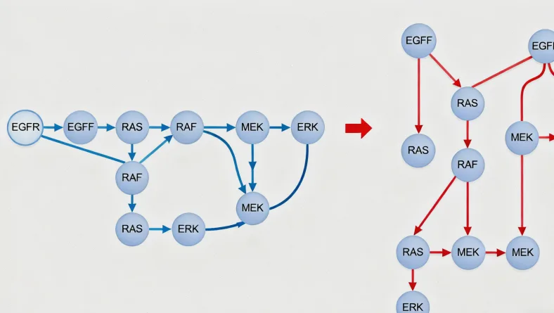 胃癌基因检测样本采集（血液与组织）流程图示