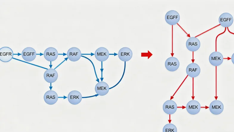组织活检与液体活检过程对比图