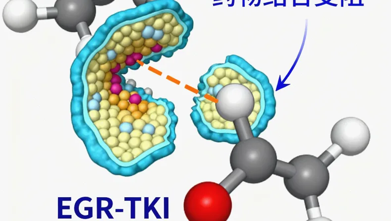 SCID免疫细胞发育通路与关键基因示意图