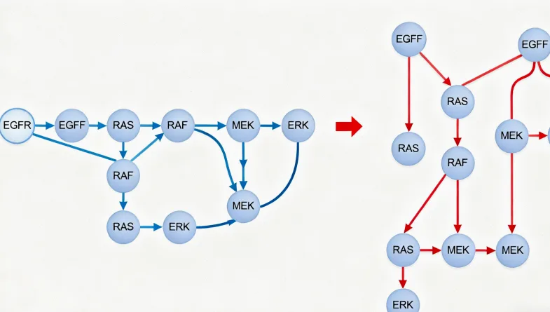 组织活检与液体活检流程对比图