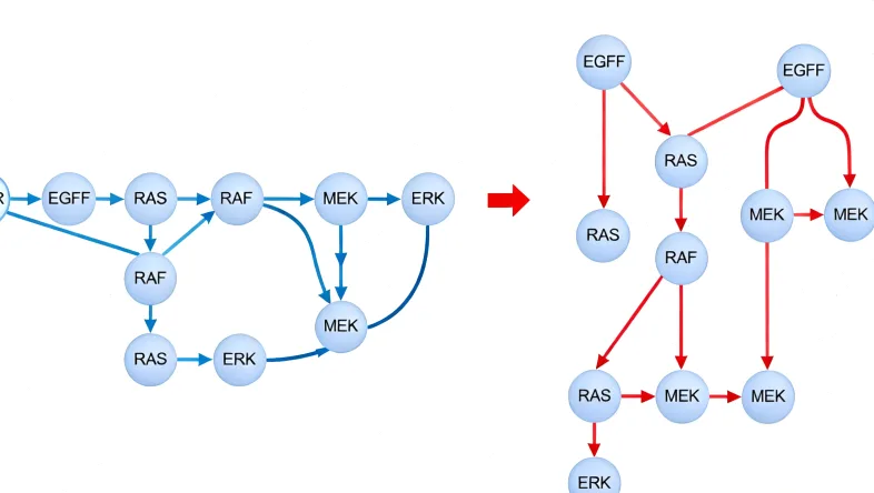 免疫组化（IHC）染色结果判读示例图