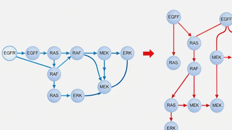 组织活检与液体活检采样过程对比图