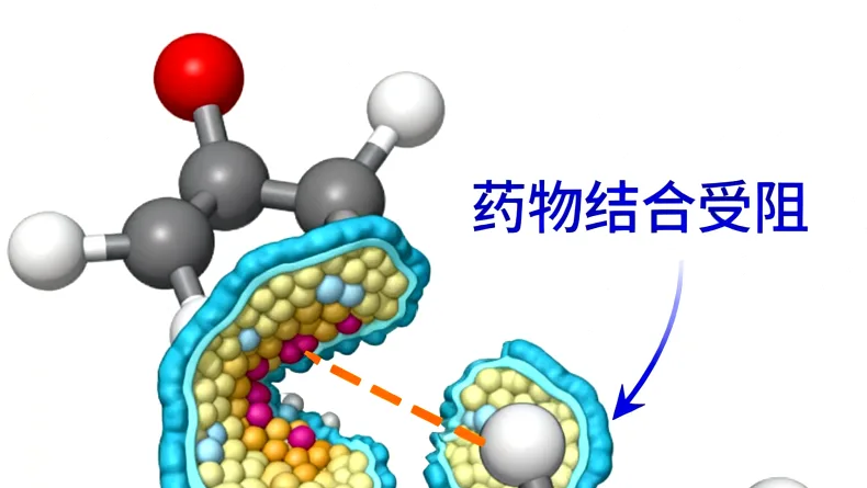 NGS测序技术流程概览