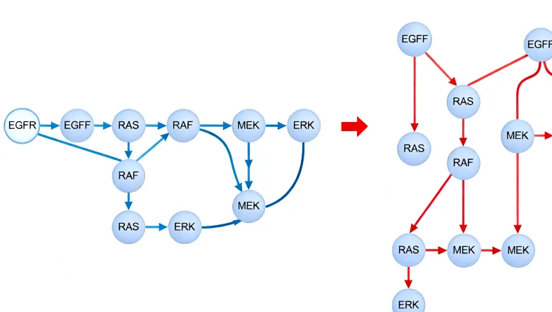 RET基因突变导致信号通路持续激活的卡通示意图
