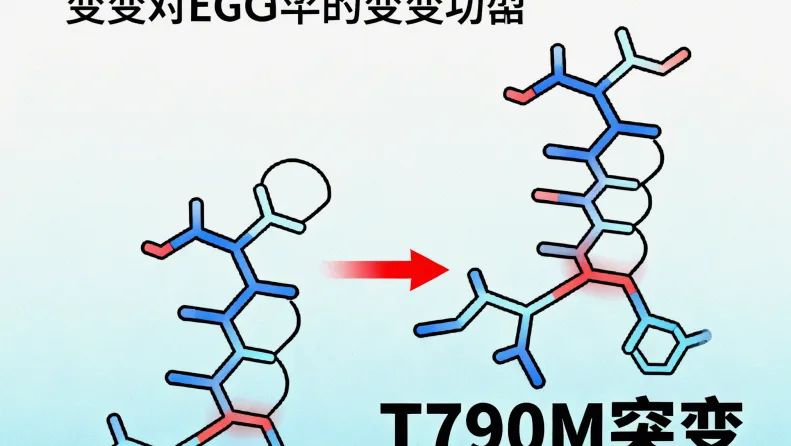 BRAF V600E突变导致加速踏板持续激活的卡通比喻图