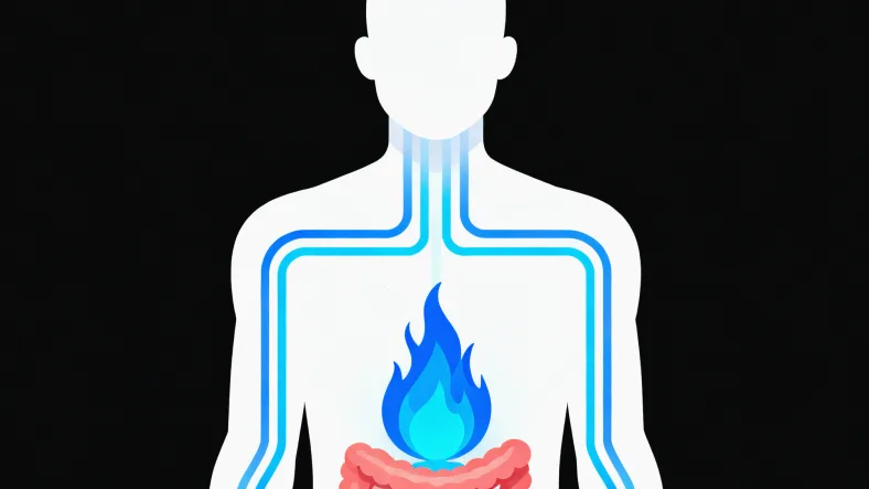 ctDNA检测技术流程