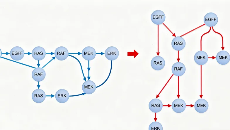 基因检测实验室高通量测序仪工作场景