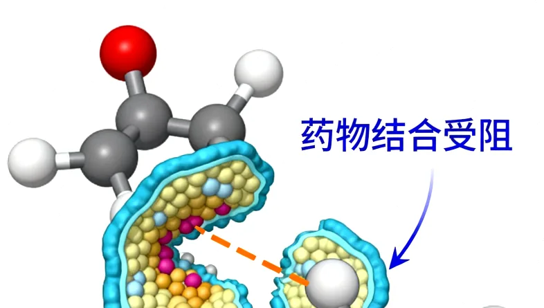 基因测序技术原理流程简图