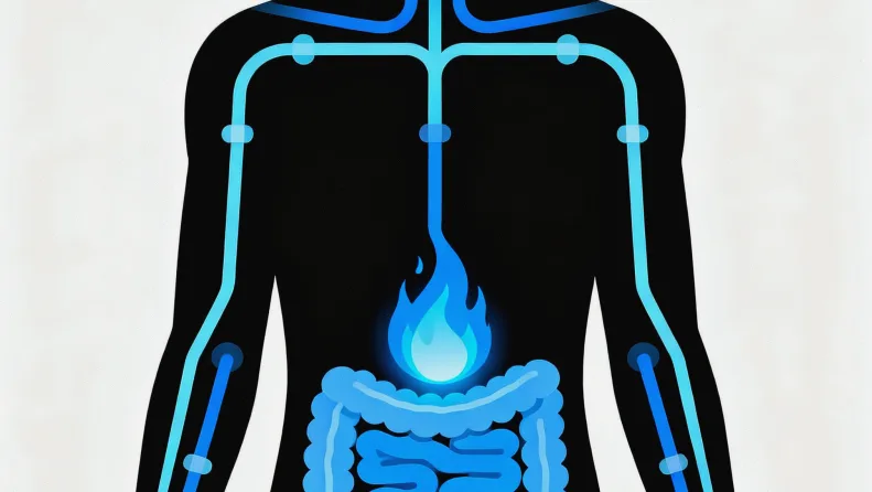 基因检测从采血到报告流程简图