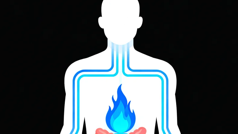 MET蛋白结构及赛沃替尼作用位点示意图