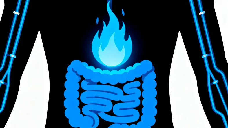 RET蛋白受体信号通路示意图