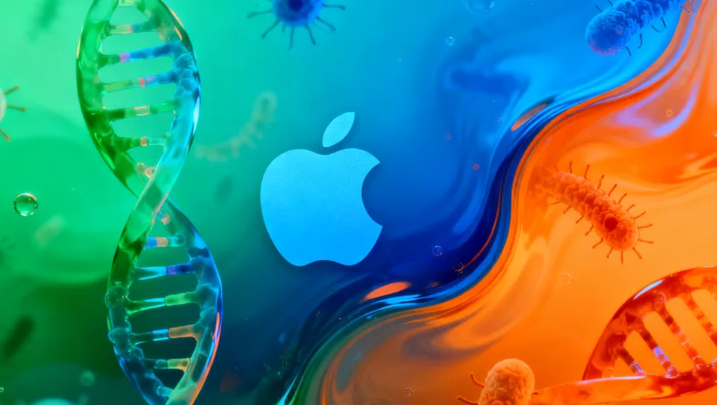 MAPK信号通路与BRAF突变示意图