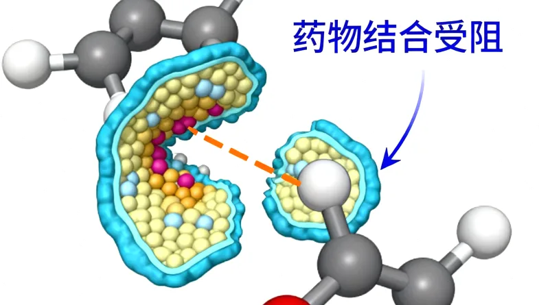 T-DXd药物结构示意图：抗体、连接子与化疗药物