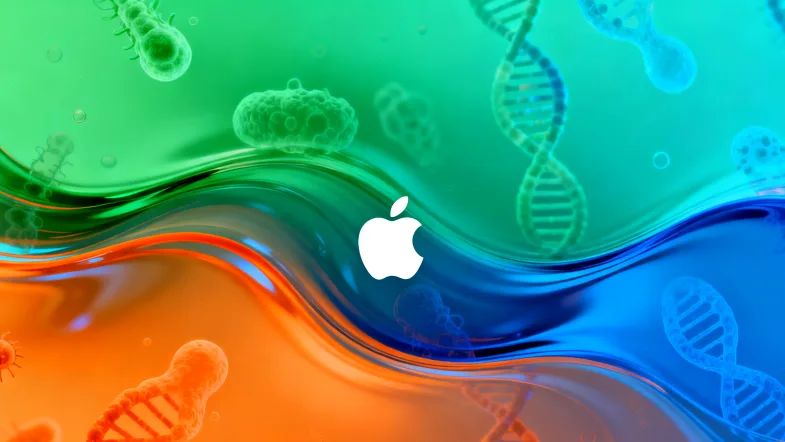 正常与dMMR肿瘤微卫星电泳图谱对比