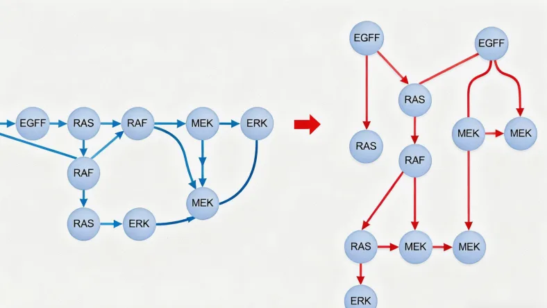MLPA技术原理动态图解