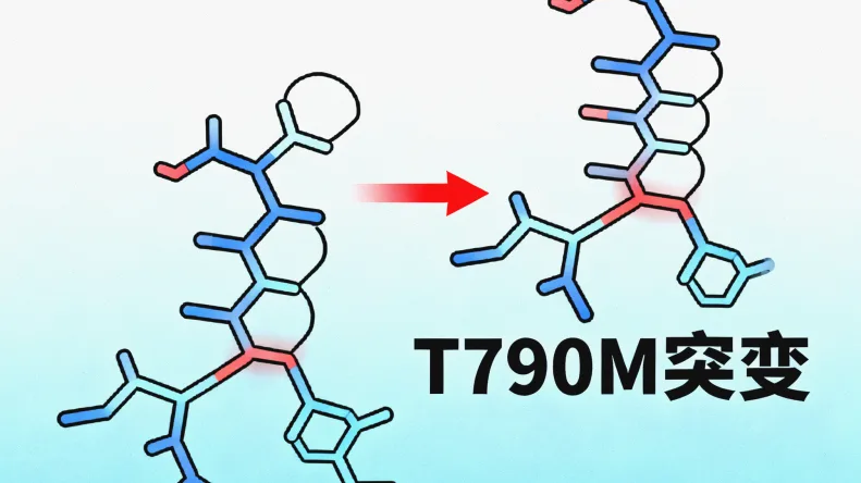 KRAS基因常见突变位点（如12、13密码子）结构图示